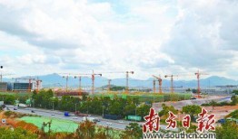 塘厦电子厂爆料最新消息,揭秘行业动态与内部秘密